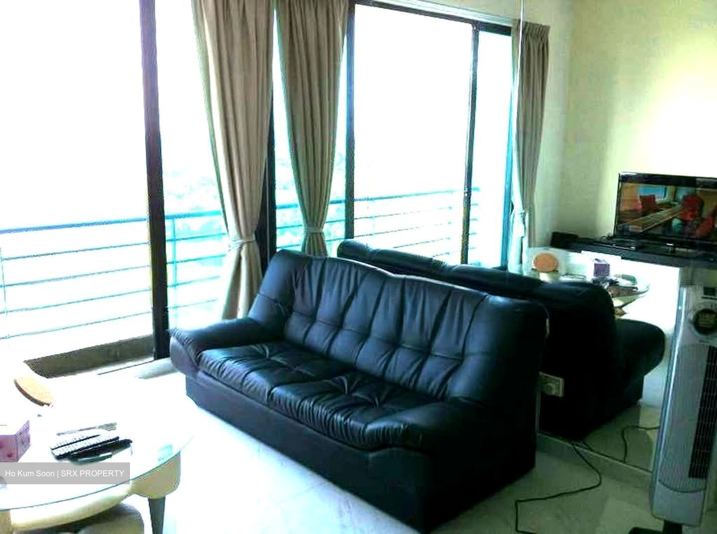 Harbour View Towers (D4), Condominium #585553271